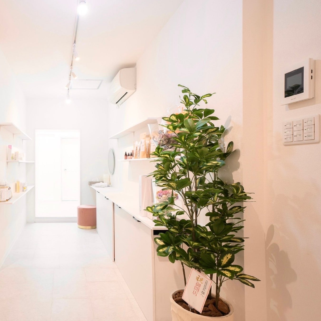 体外も体内もcaratfulできれいに！夏に向けてた新脱毛コースとフェムケア商品販売をスタートします！のサブ画像7